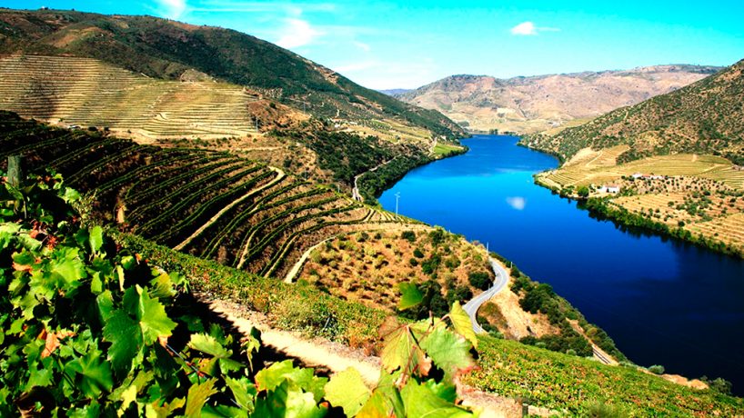 Alto Douro Wine Region